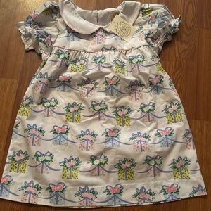 TBBC Holly Day dress size 6 NWT